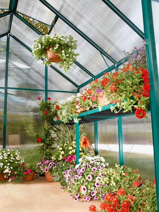 Greenhouse and Polycarbonate Sheets
